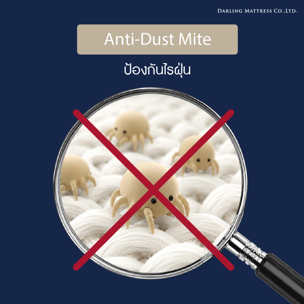 ปลอกหมอนหนุน DARLING MATTRESS รุ่นกันน้ำลาย แพ็คคู่